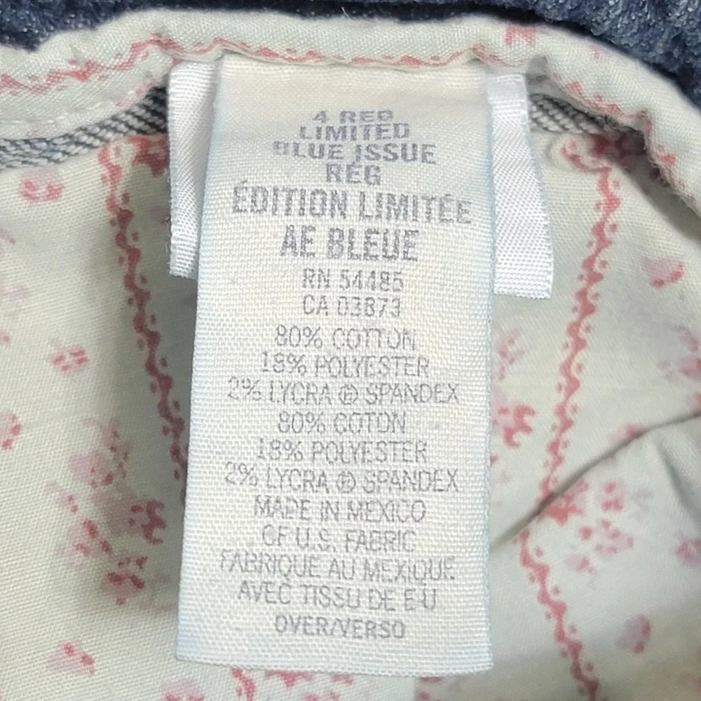 American Eagle Blue Issue‎ Limited Edition Jeans Womens 4 Reg Straight Leg Y2K